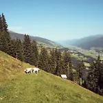 Peter's - Bergbauernhof Mit Weitblick * ברמברג אם ווילדקוגל