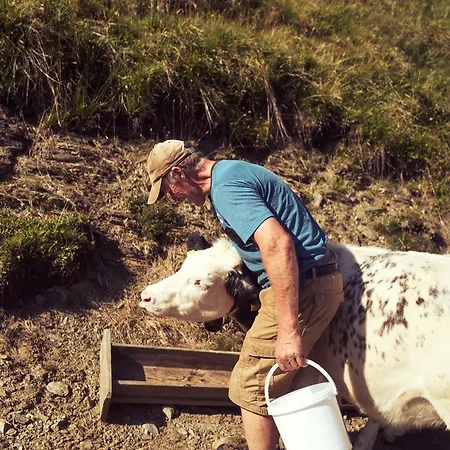 Appartement Peter's - Bergbauernhof Mit Weitblick *