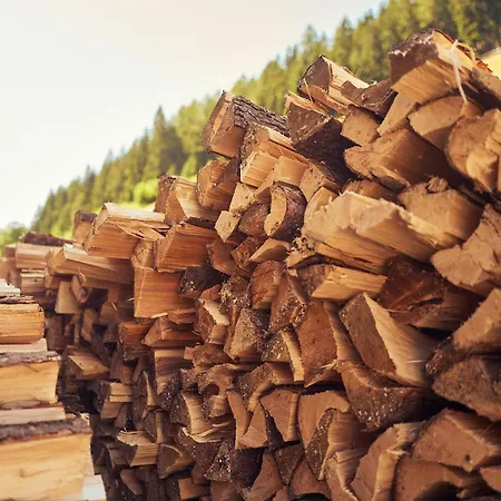 Peter's - Bergbauernhof Mit Weitblick *