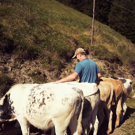 Apartmán Peter's - Bergbauernhof Mit Weitblick Bramberg am Wildkogel