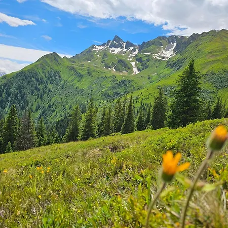 Peter's - Bergbauernhof Mit Weitblick *
