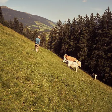Peter's - Bergbauernhof Mit Weitblick Apartament Bramberg am Wildkogel