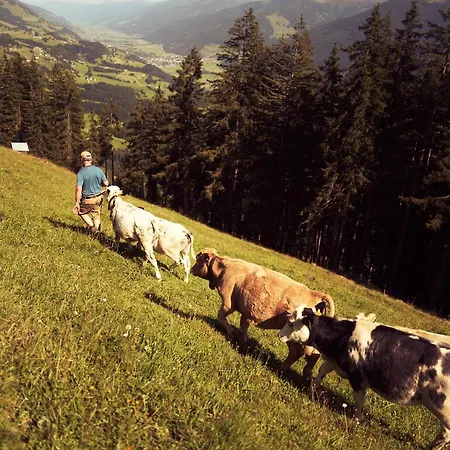 Peter's - Bergbauernhof Mit Weitblick Bramberg am Wildkogel