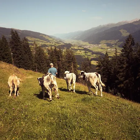 Peter's - Bergbauernhof Mit Weitblick Apartmán