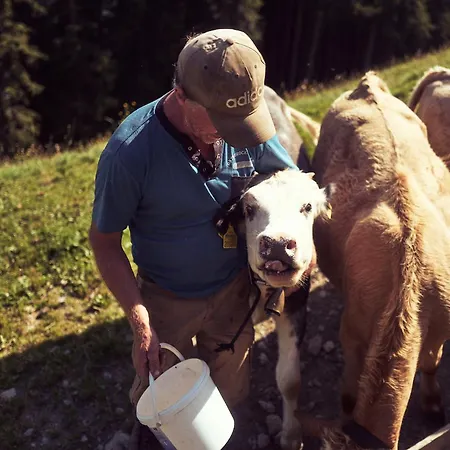 Peter's - Bergbauernhof Mit Weitblick *