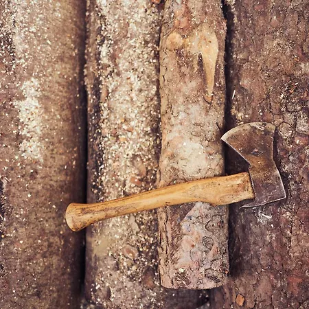 Peter's - Bergbauernhof Mit Weitblick * Bramberg am Wildkogel