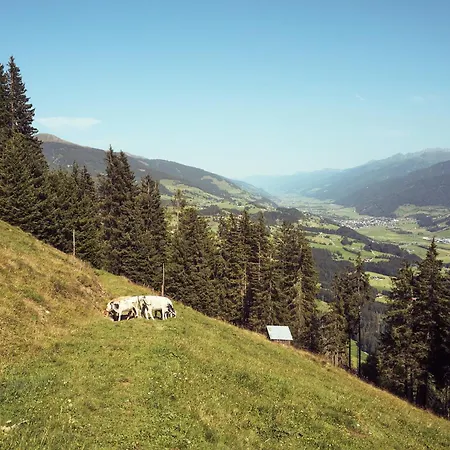 Peter's - Bergbauernhof Mit Weitblick * Bramberg am Wildkogel