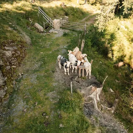 Apartmán Peter's - Bergbauernhof Mit Weitblick