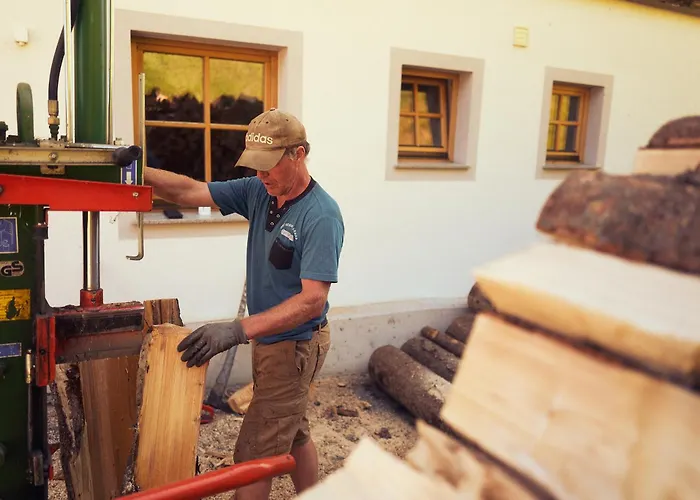 Apartament Peter's - Bergbauernhof Mit Weitblick Bramberg am Wildkogel