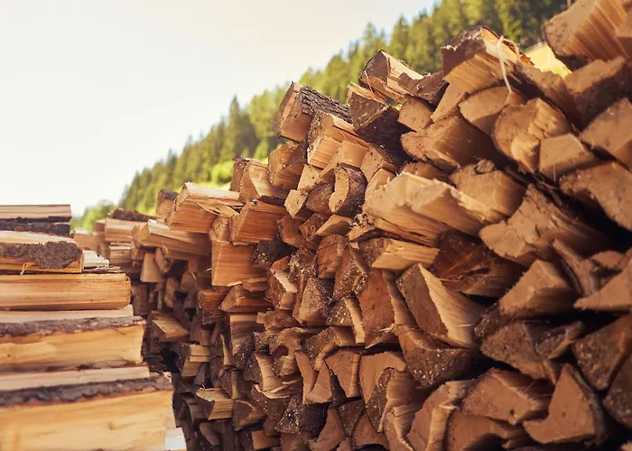 Peter's - Bergbauernhof Mit Weitblick *
