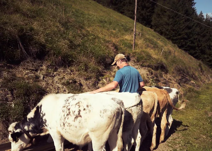 Apartament Peter's - Bergbauernhof Mit Weitblick Bramberg am Wildkogel