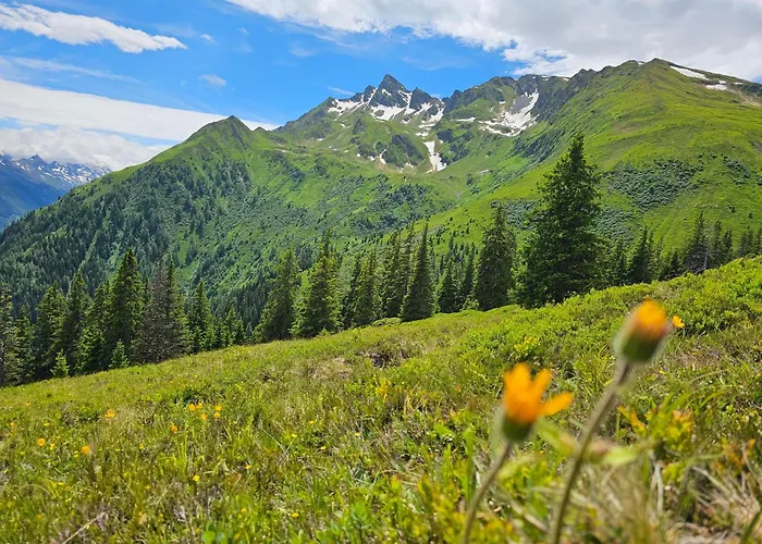 Peter's - Bergbauernhof Mit Weitblick *