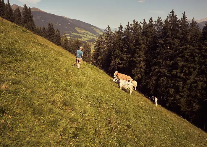 Peter's - Bergbauernhof Mit Weitblick Apartmán Bramberg am Wildkogel