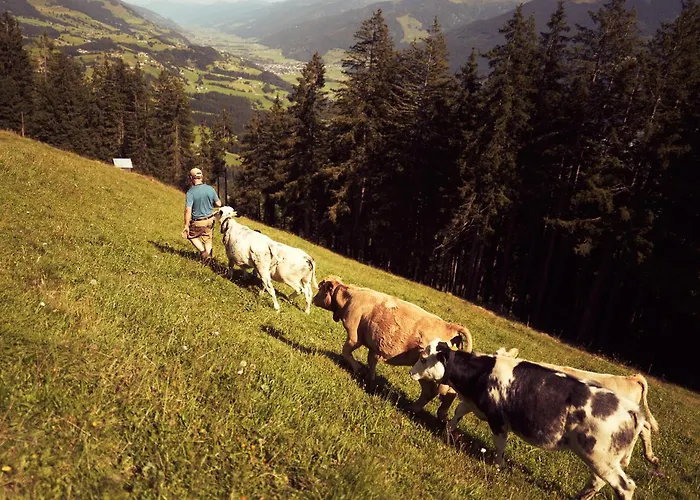 Peter's - Bergbauernhof Mit Weitblick Bramberg am Wildkogel