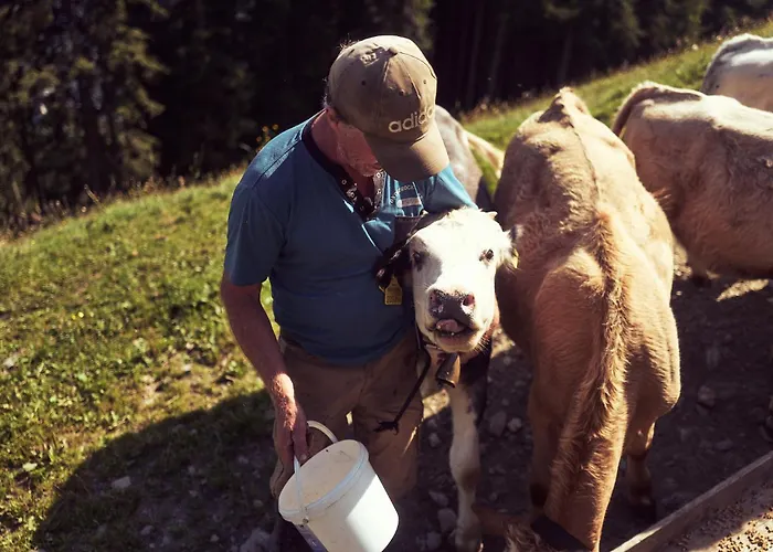Peter's - Bergbauernhof Mit Weitblick *