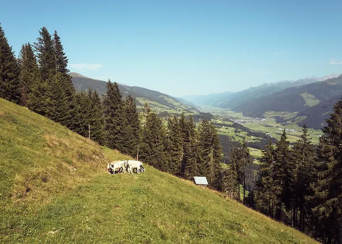 Peter's - Bergbauernhof Mit Weitblick * Bramberg am Wildkogel