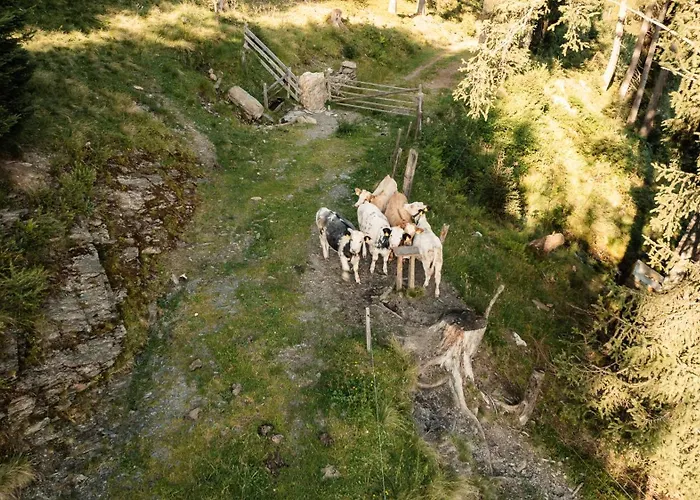 Apartament Peter's - Bergbauernhof Mit Weitblick